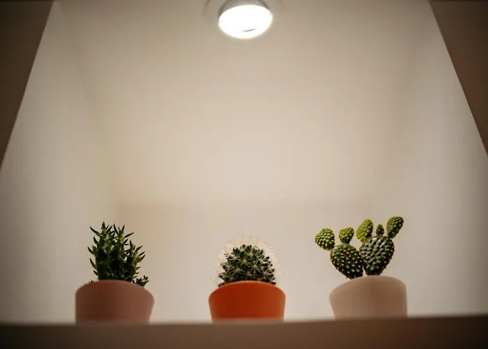 Giulia And Giada's House Apartament *